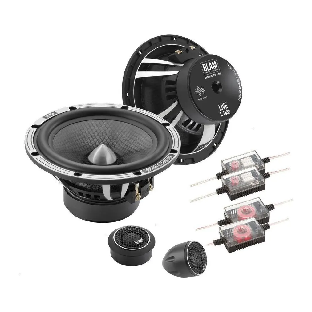 BLAM KIT L165P Component Speaker