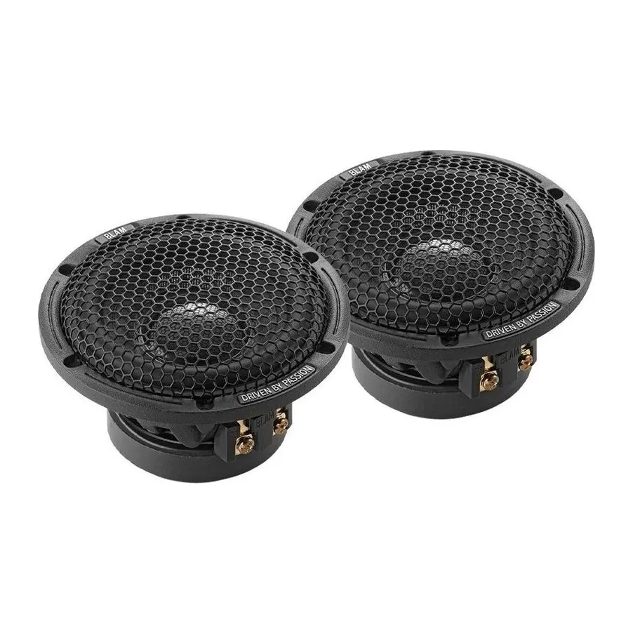 BLAM LM 80 Midrange Driver